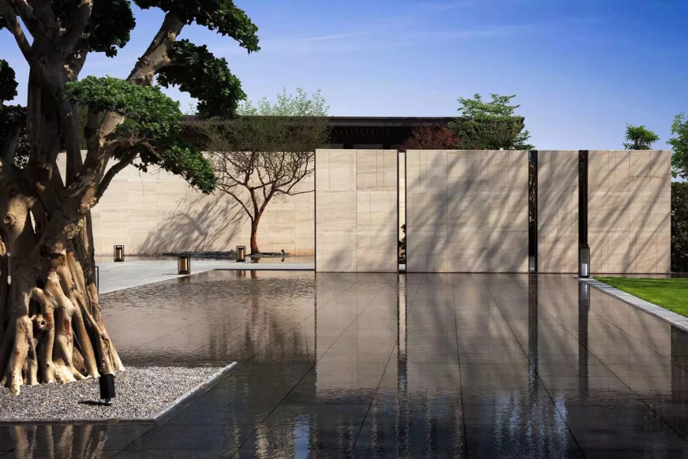 心之所向，桃花源！