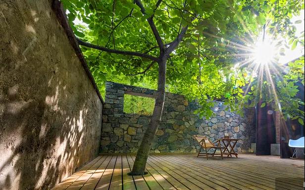 同信·愛家壹號(hào)|曾經(jīng)江湖策馬，如今院里觀花！