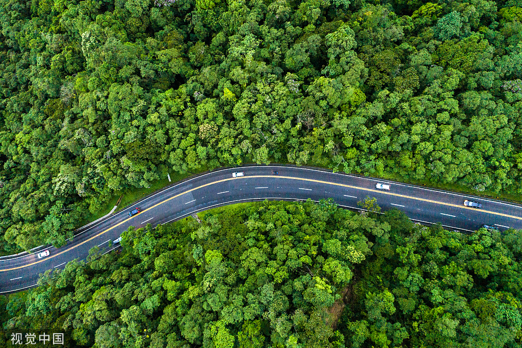 福利請查收丨點(diǎn)亮團(tuán)圓路，與愛相伴同心同行！