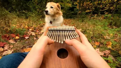 河畔有約丨看見指尖藝術(shù)，聆聽幻彩音符！